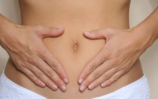 Stomach